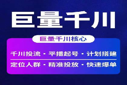 某某SEM团队成功案例：广告投放策略揭秘